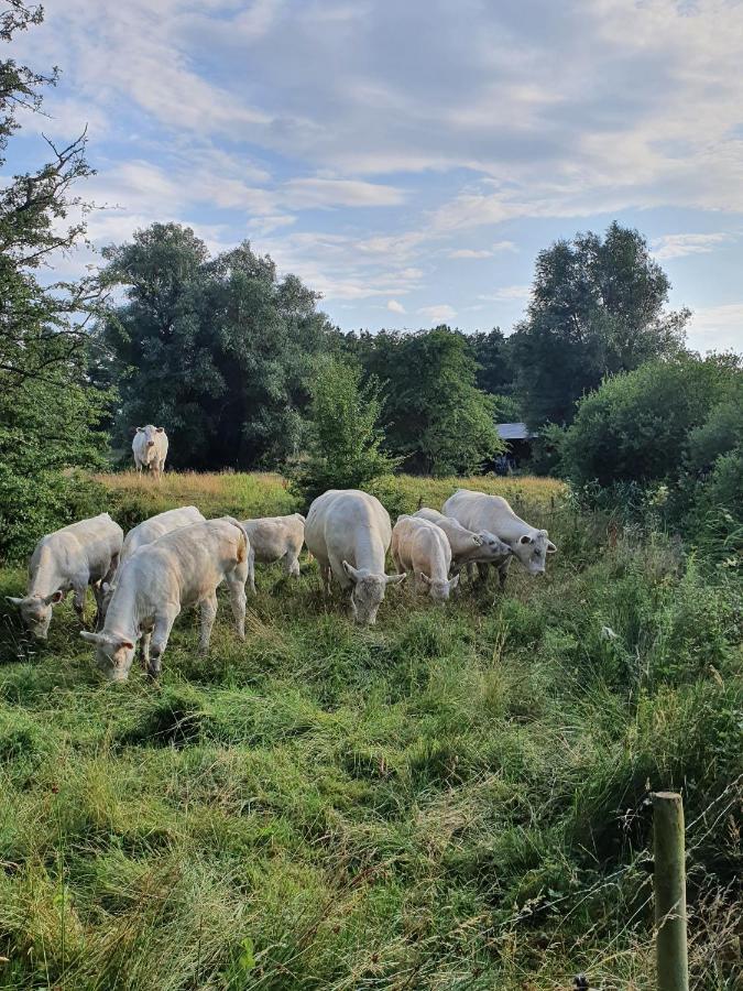Skogsbäckens stugby AB Villa Tomelilla Exteriör bild
