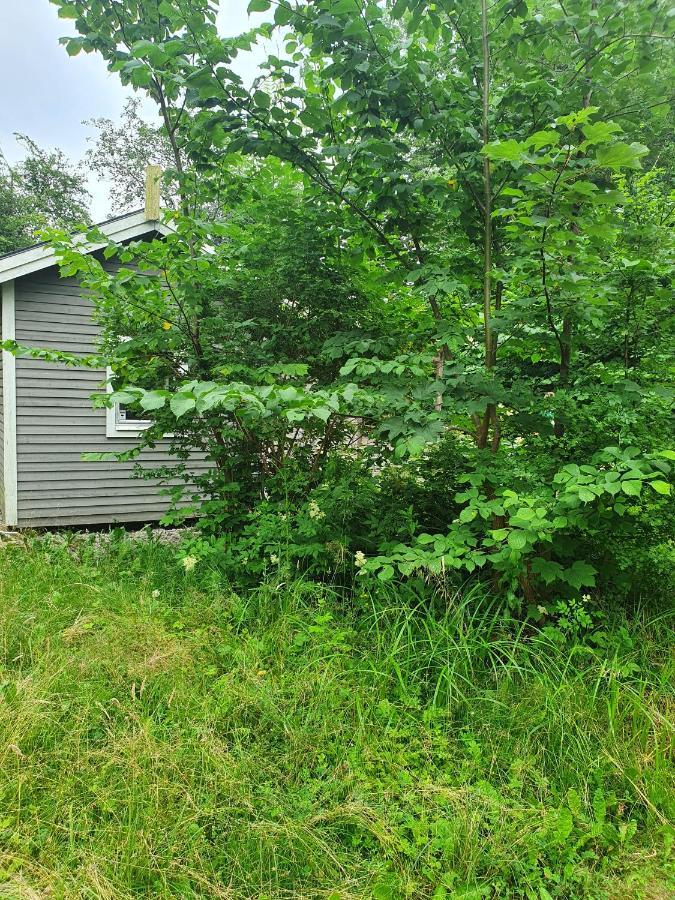 Skogsbäckens stugby AB Villa Tomelilla Exteriör bild